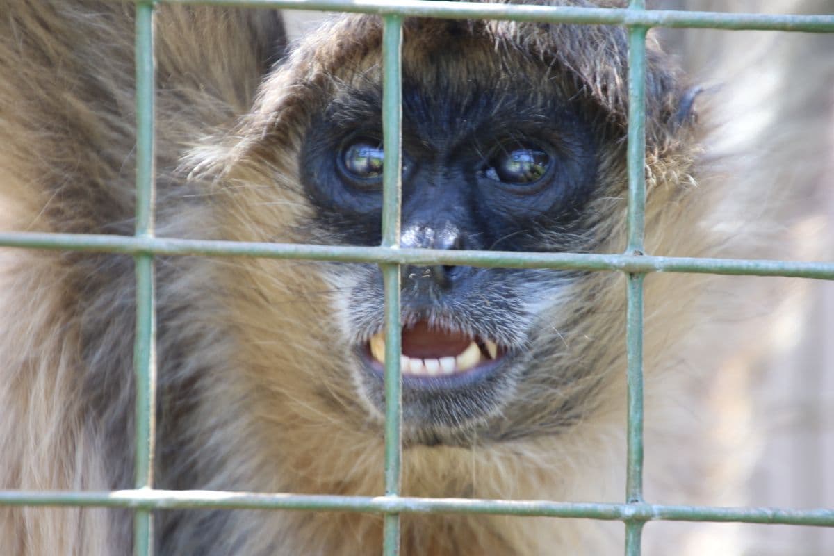 How to Market Your Drone Business in 2026: The Complete UAV Marketing Playbook