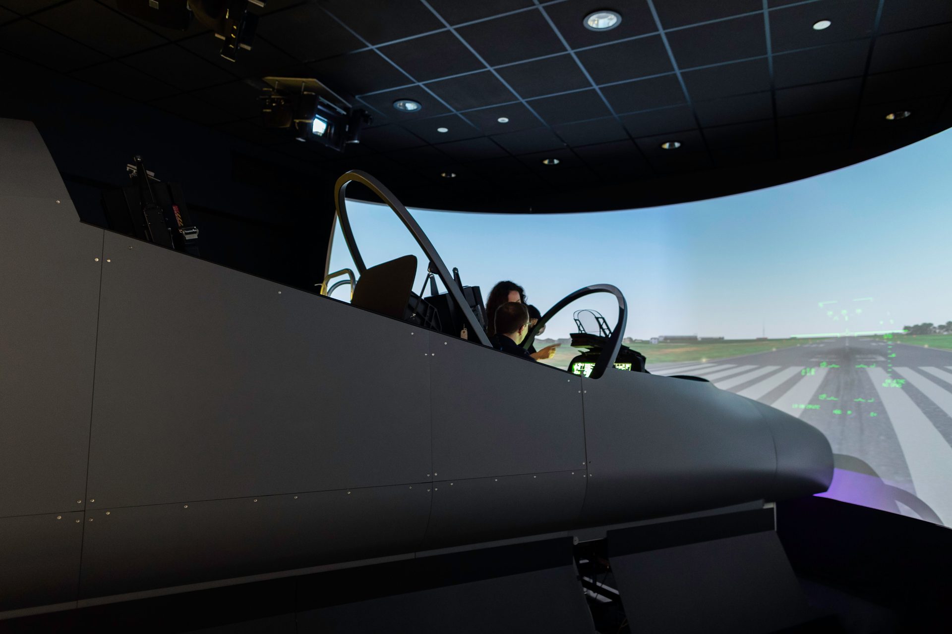 Student pilot and instructor training in a professional flight simulator